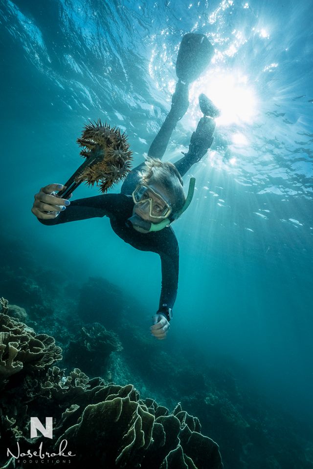 Lucy Harding conducting Crown of Thorns starfish removal from a coral reef.